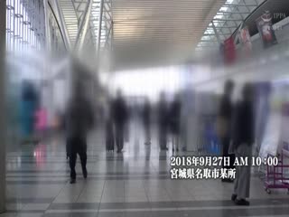 欧美性生交大片免费看app麻豆
